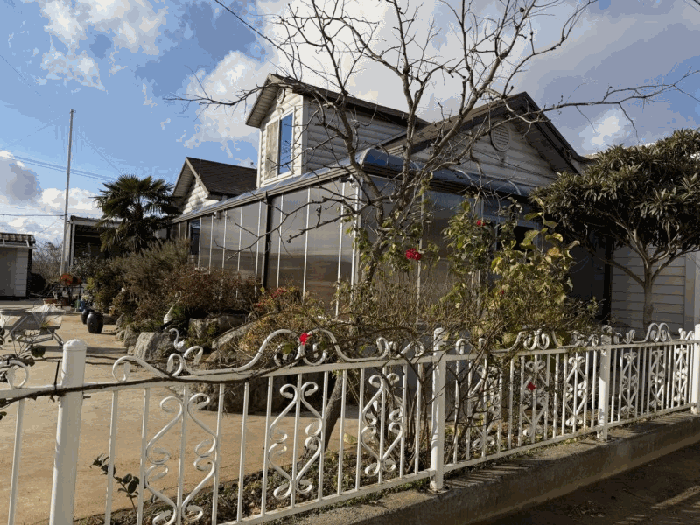 본건(1) 수목