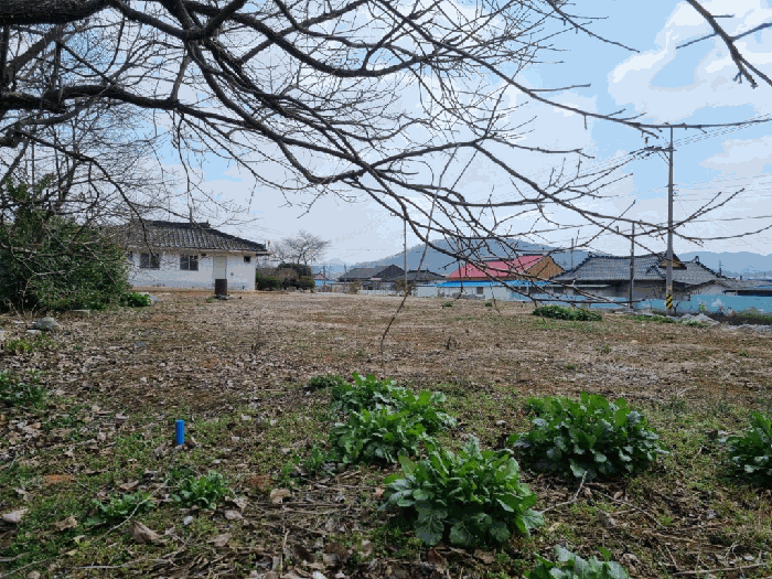 일련번호 3
