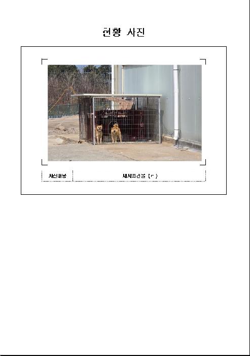 2025타경50987