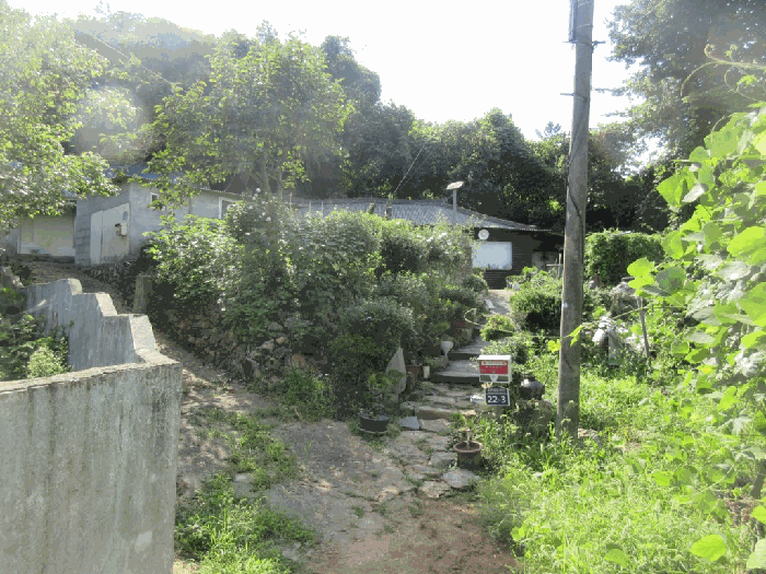 전경