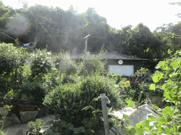 일련번호(1)