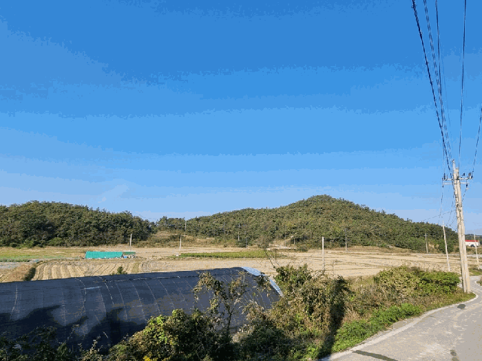 기호 1) 전경