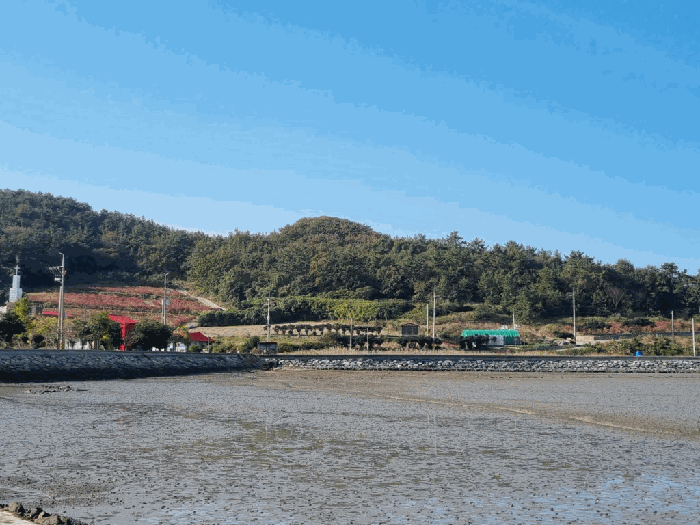 기호 2) 전경