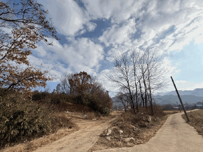 2025타경51741[1]