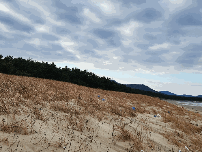 본건 전경