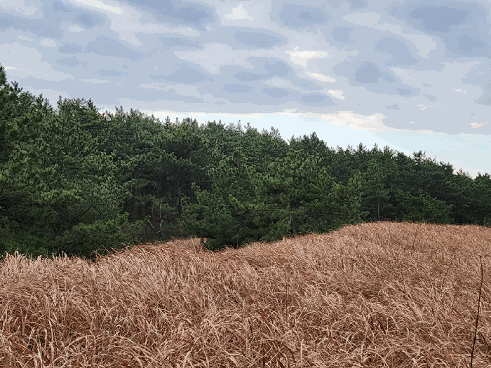 본건 전경