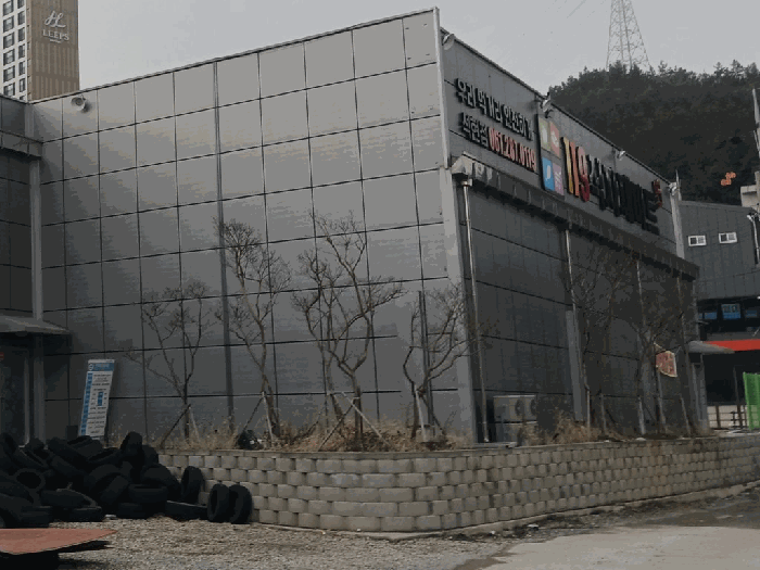 수목