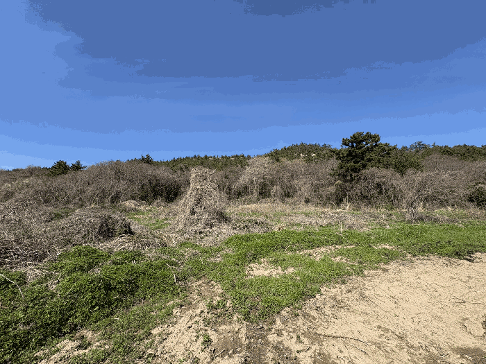 일련번호 3)