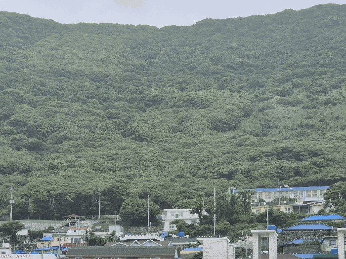 일련번호 1)