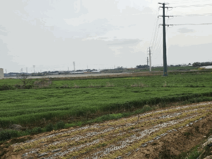 일련번호 1