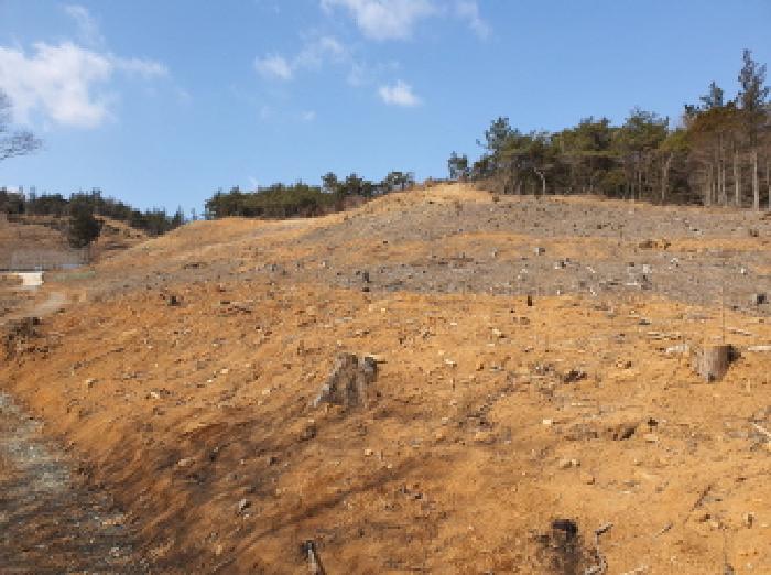 부동산표시 3번 전경