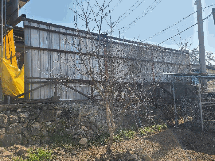 본 건 지상 수목