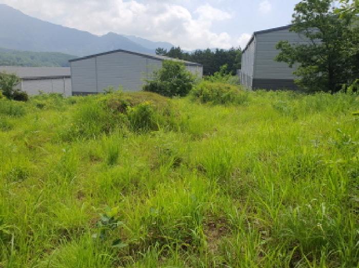 부동산표시 3번지상 분묘 전경