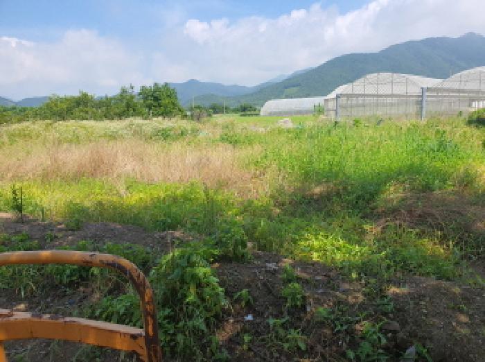 부동산표시 4번 전경