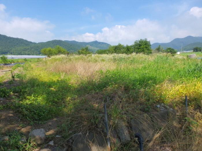 부동산표시 4번 전경