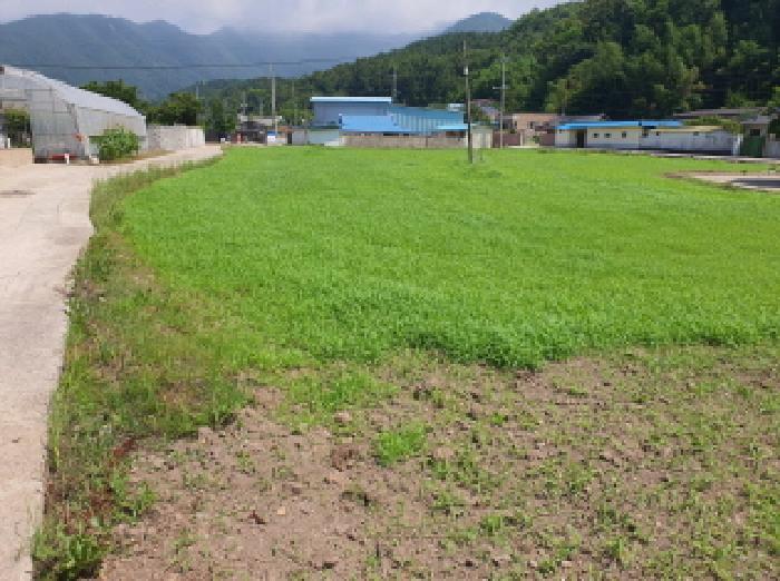 부동산표시 5번 전경
