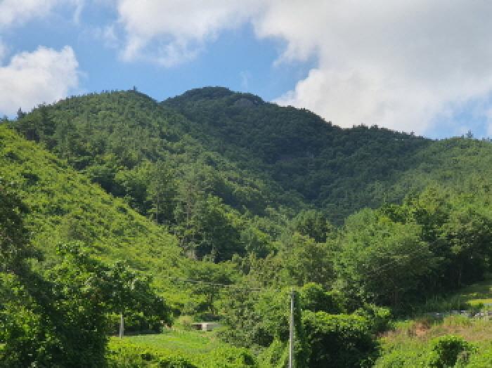 부동산표시 6번 전경