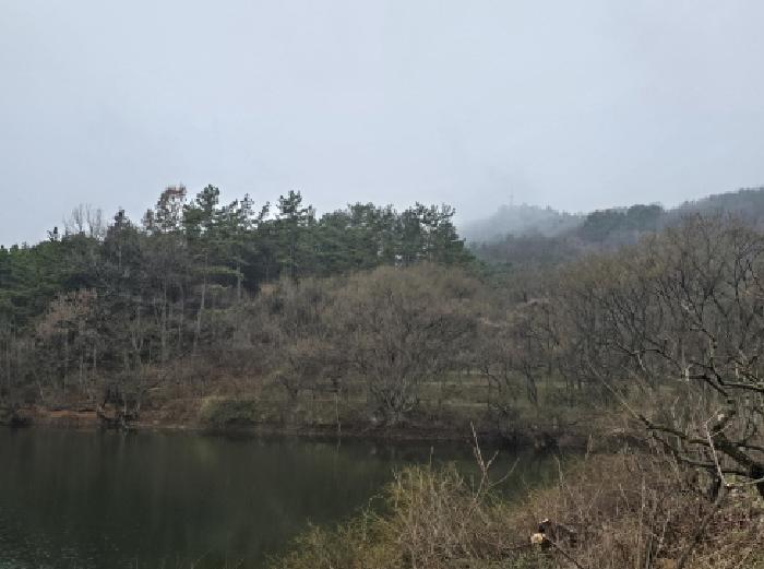 부동산표시 1번 전경