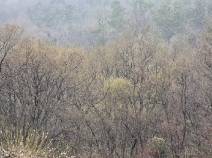 부동산표시 2번 전경