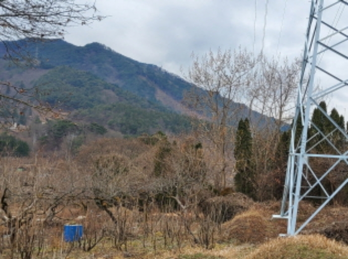 본건 1항