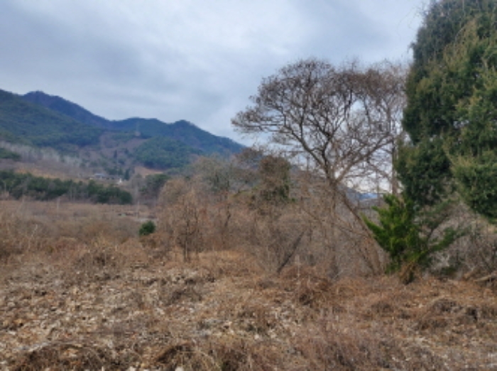 본건 1항