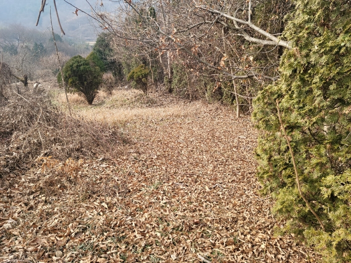 일련번호(1) 전경