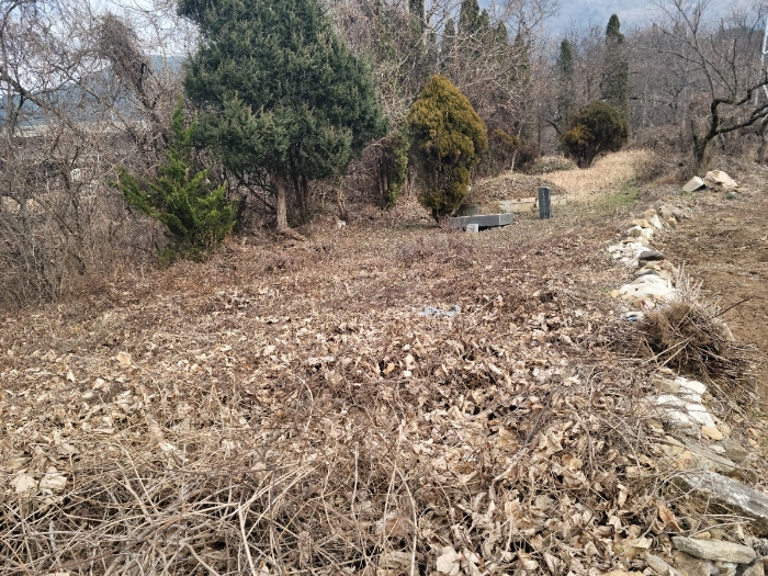 일련번호(2) 전경