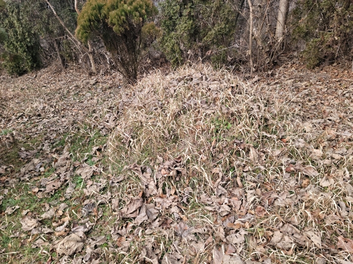 일련번호(2) 지상 분묘 전경
