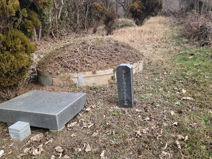 일련번호(2) 지상 분묘 전경