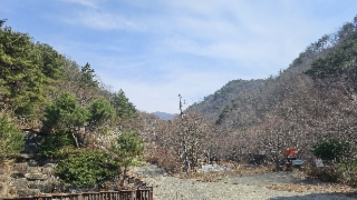 물건번호7번