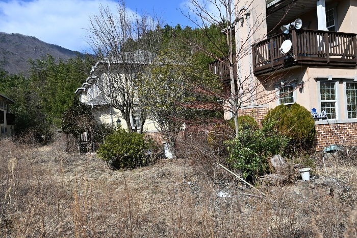 일련번호 1), 2)토지상 수목