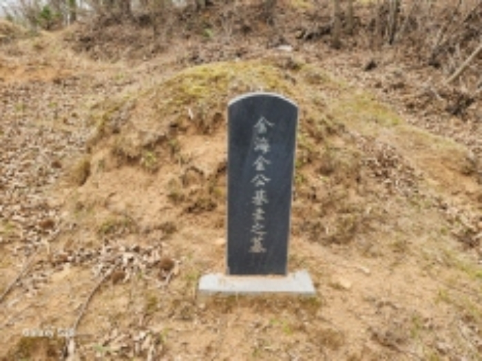 2024타경1207