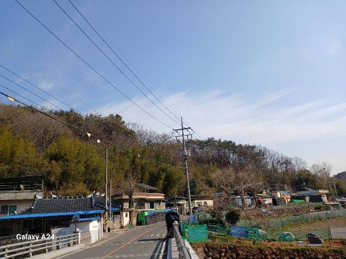 2024타경1207