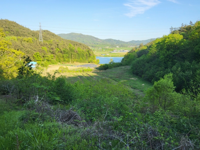 본건 전경