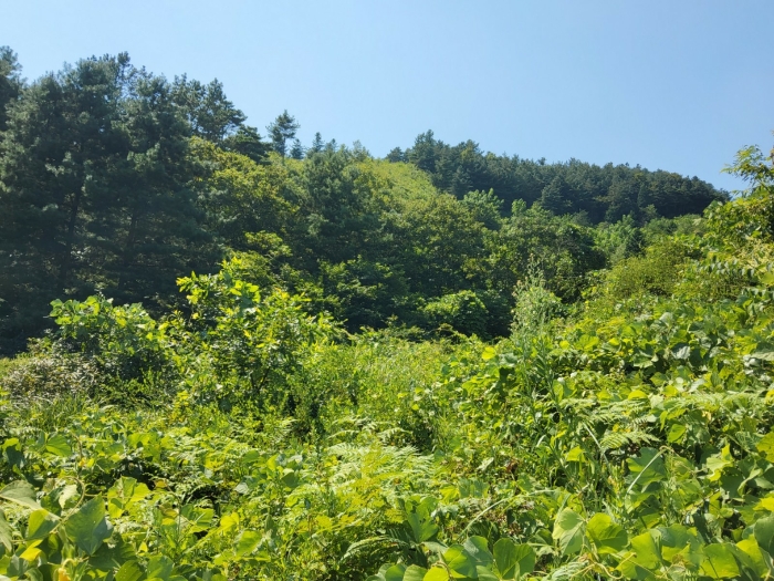 기호 8) 토지