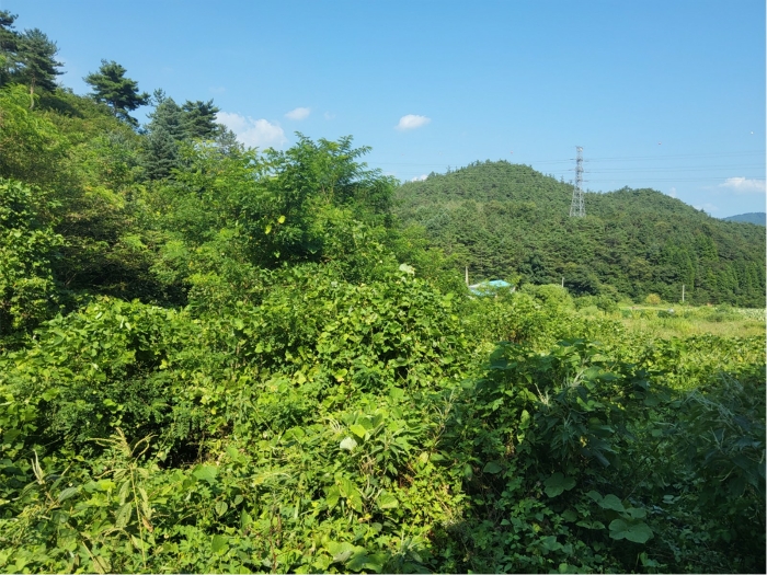 기호 14) 토지