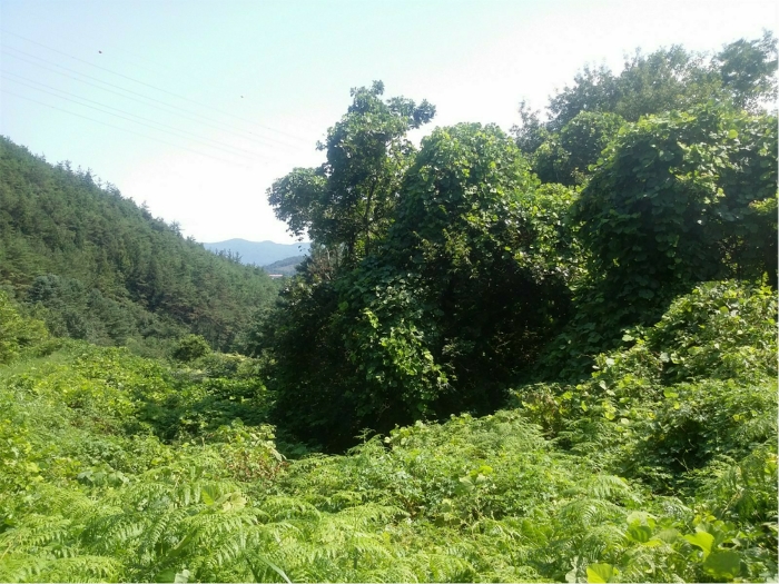 기호 6) 토지