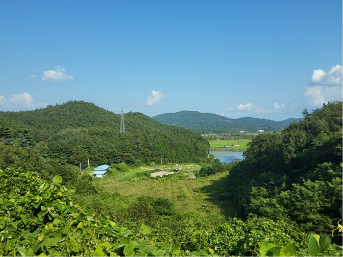 본건 전경
