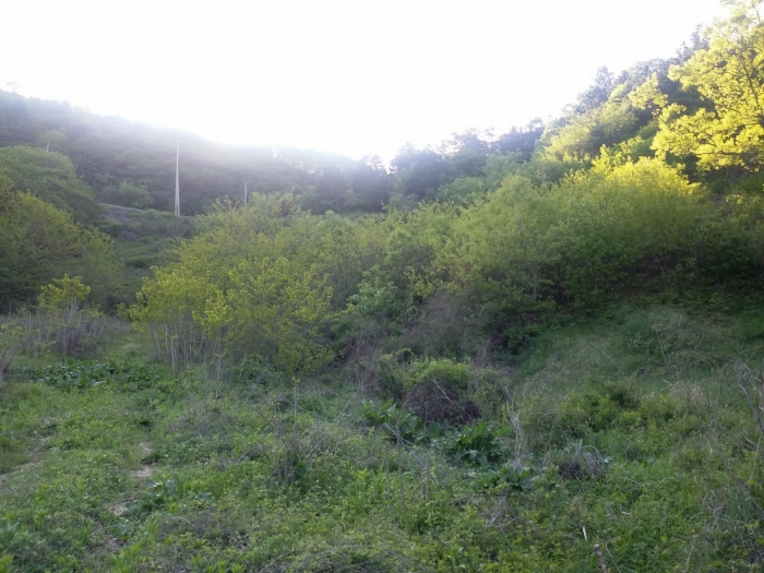기호 14) 토지