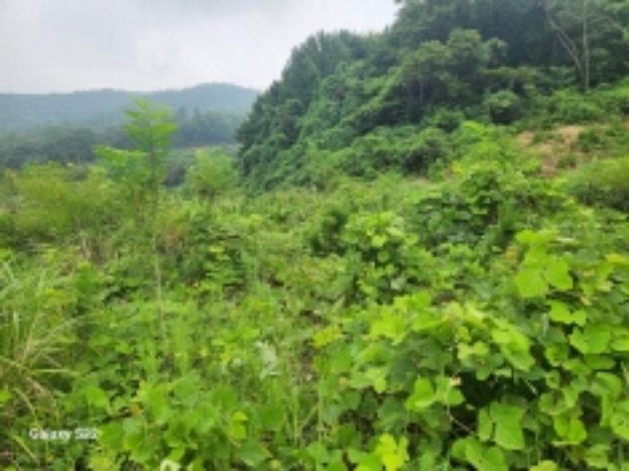 본건 3
