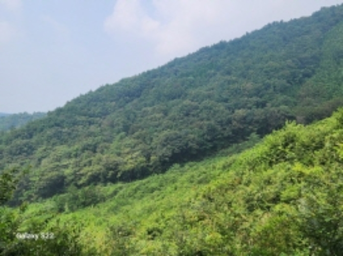 본건 6,7,8