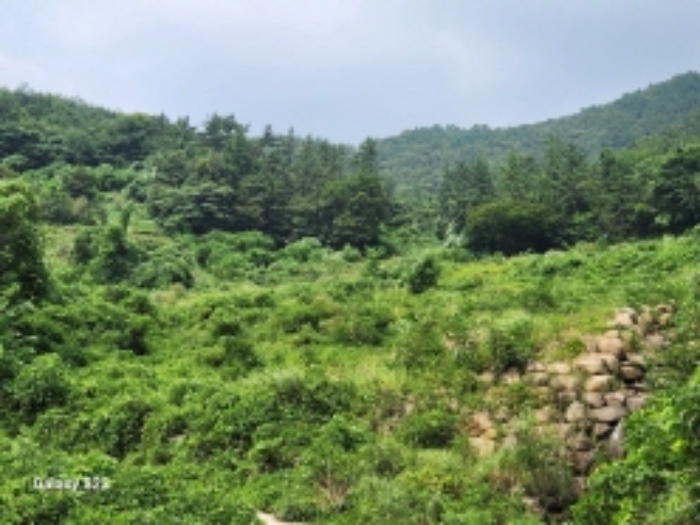 본건 9,10,11