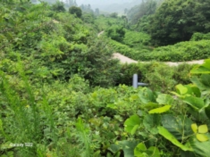 본건 3