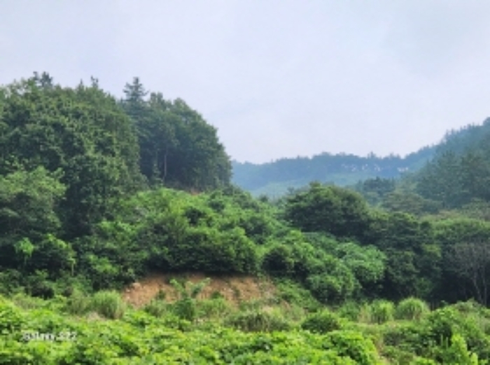 본건 4