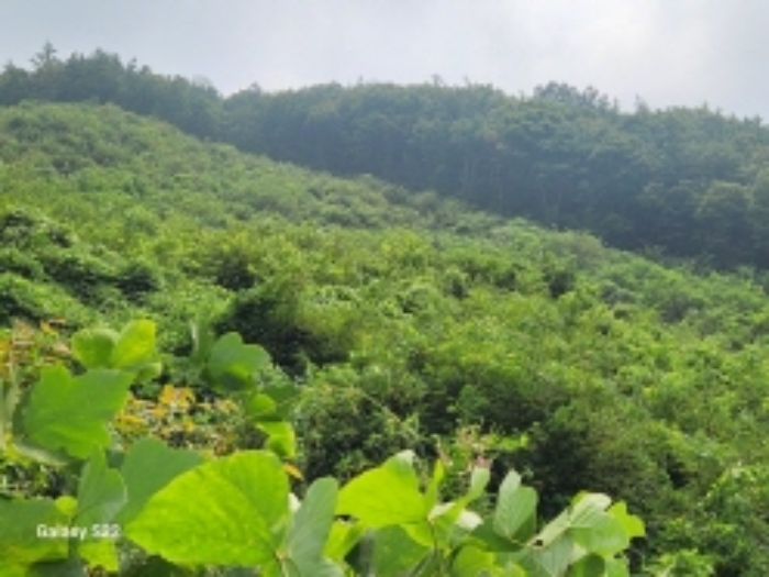 본건 5