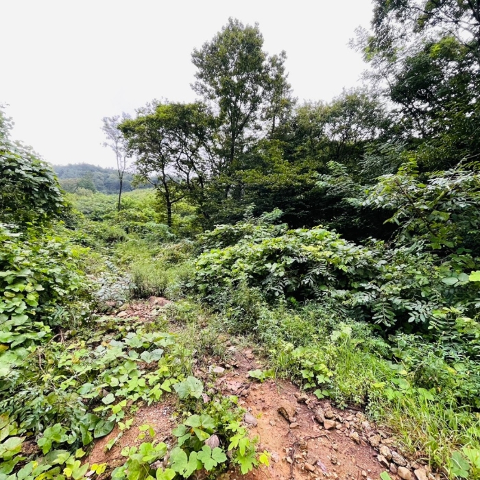 일련번호(5)