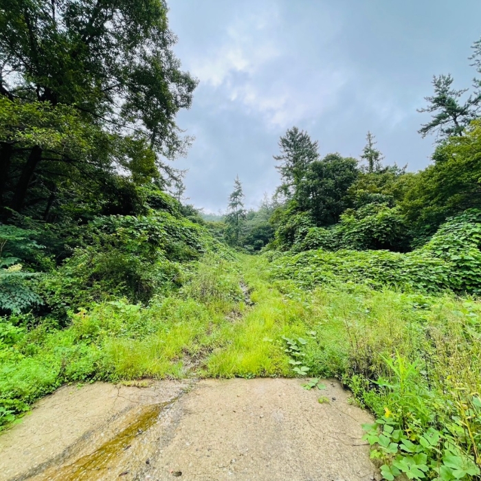 일련번호(9)