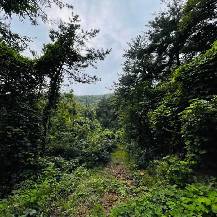 일련번호(8,10)