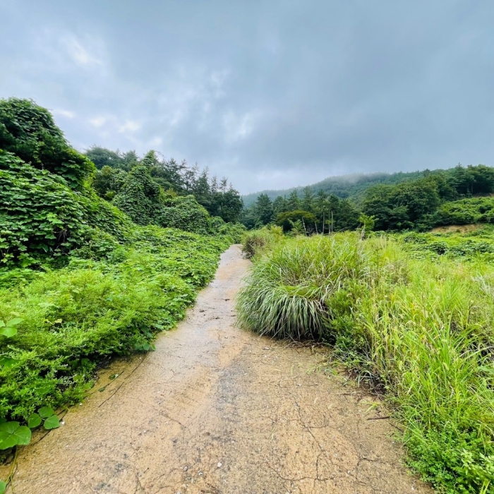 일련번호(11)