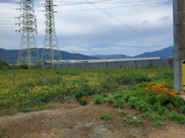 2024타경4244[1]